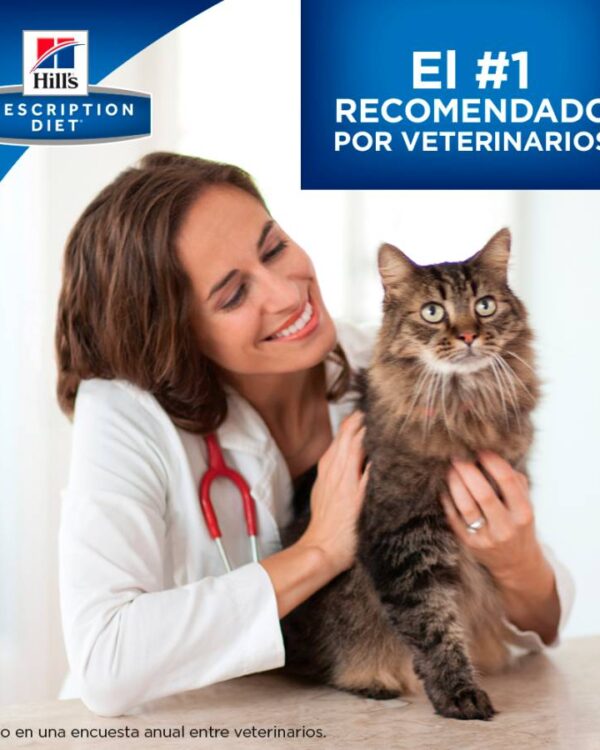 24 Latas Hill's C/d Feline 165g. - Imagen 3