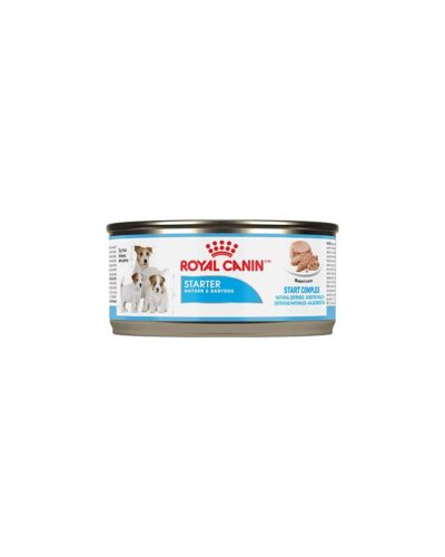 1 lata Royal Canin Starter Mousse 165g