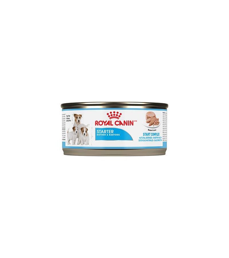 1 lata Royal Canin Starter Mousse 165g