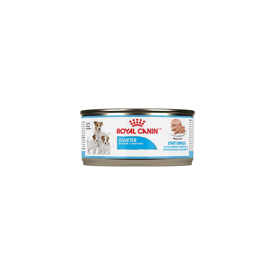 1 lata Royal Canin Starter Mousse 165g
