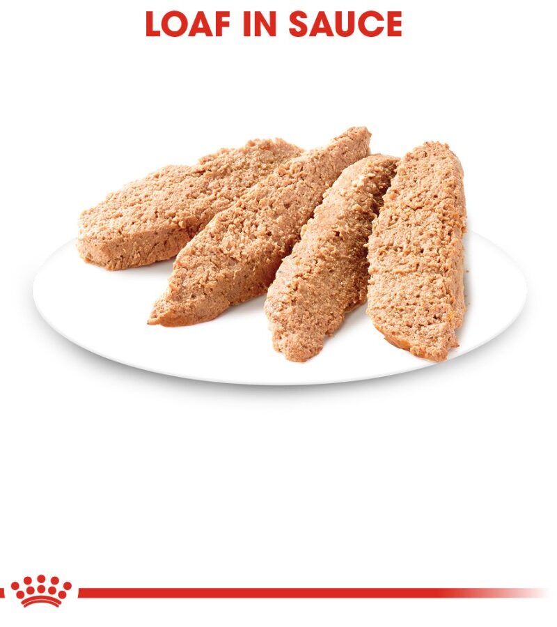 24 latas Royal Canin Kitten Gatito Receta Pollo, 145 g - Imagen 2