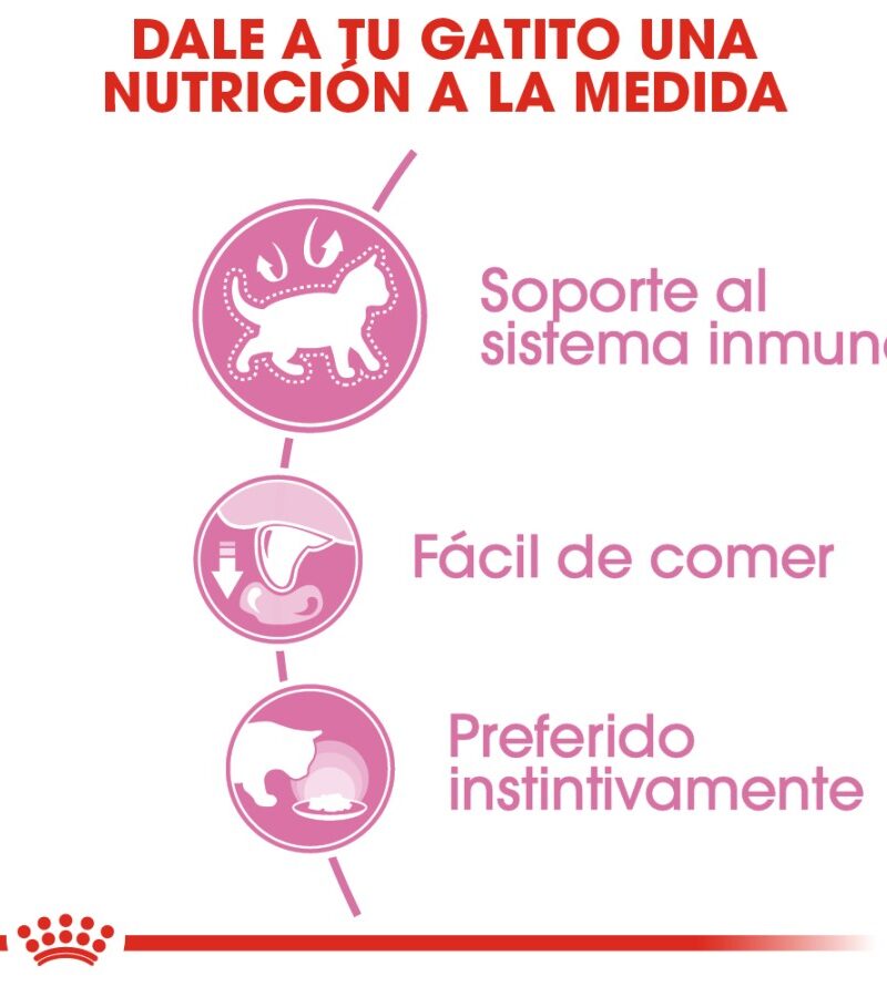 24 latas Royal Canin Kitten Gatito Receta Pollo, 145 g - Imagen 5