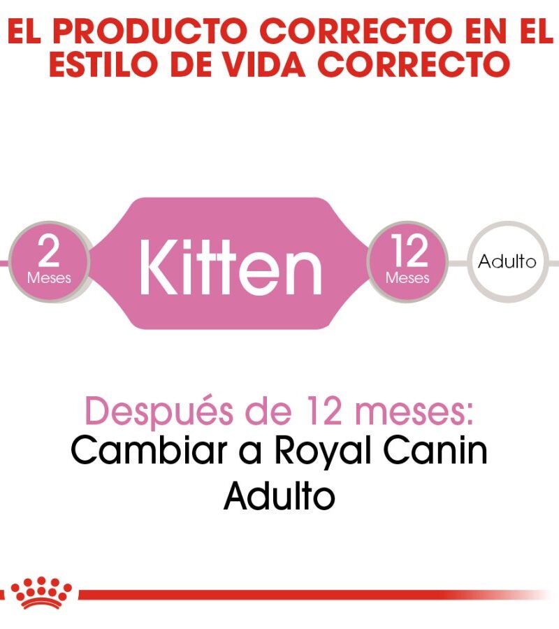 24 latas Royal Canin Kitten Gatito Receta Pollo, 145 g - Imagen 6