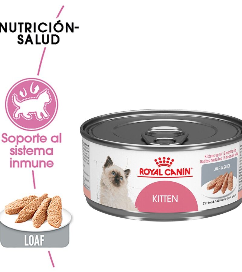 24 latas Royal Canin Kitten Gatito Receta Pollo, 145 g