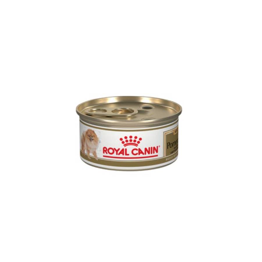 24 latas Royal Canin Pomerania Loaf 85 gr