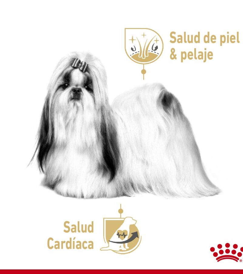 24 latas Royal Canin Shih Tzu Wet 85 gr - Imagen 3