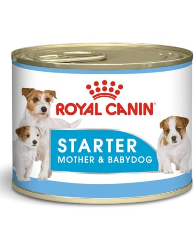 24 latas Royal Canin Starter Mother & Babydog Mousse 145 gr