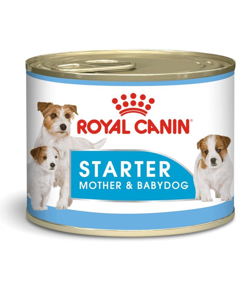 24 latas Royal Canin Starter Mother & Babydog Mousse 145 gr
