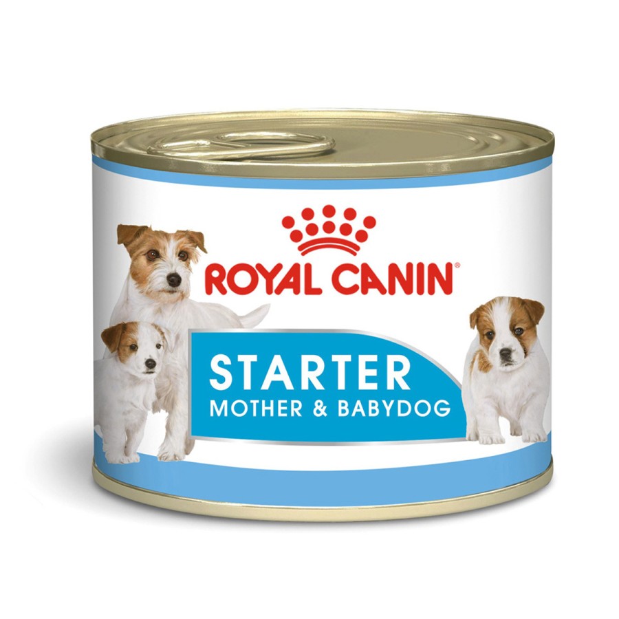 24 latas Royal Canin Starter Mother & Babydog Mousse 145 gr