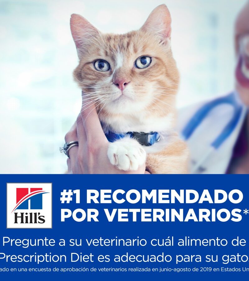 Hill's Gastro Biome Feline 1.8 Kg - Imagen 4