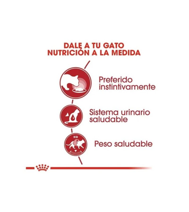 Royal Canin 24 latas Gato Adulto Instinct 85 gr - Imagen 2