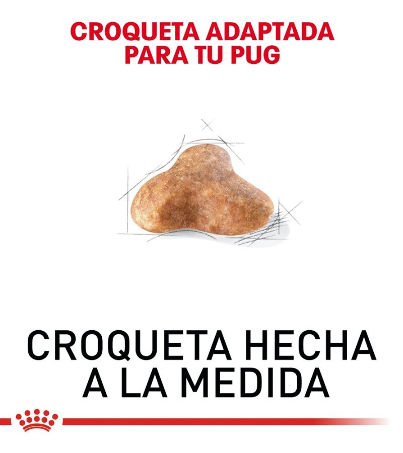 Royal Canin Adulto Pug 1.1 kg - Imagen 3