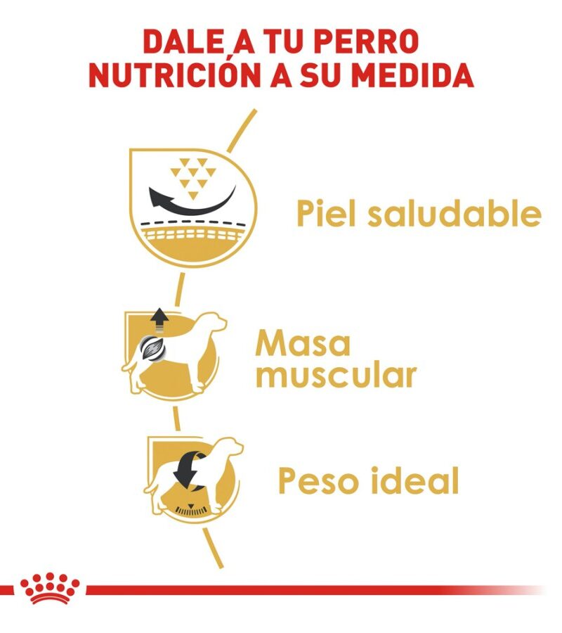 Royal Canin Adulto Pug 1.1 kg - Imagen 5