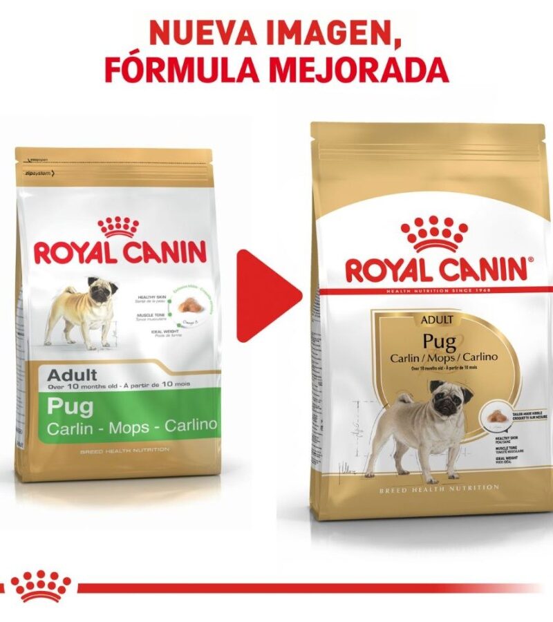 Royal Canin Adulto Pug 1.1 kg - Imagen 8