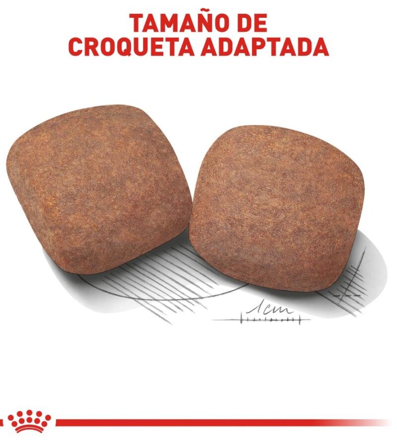 Royal Canin Adulto Raza Gigante 15.9 kg - Imagen 4