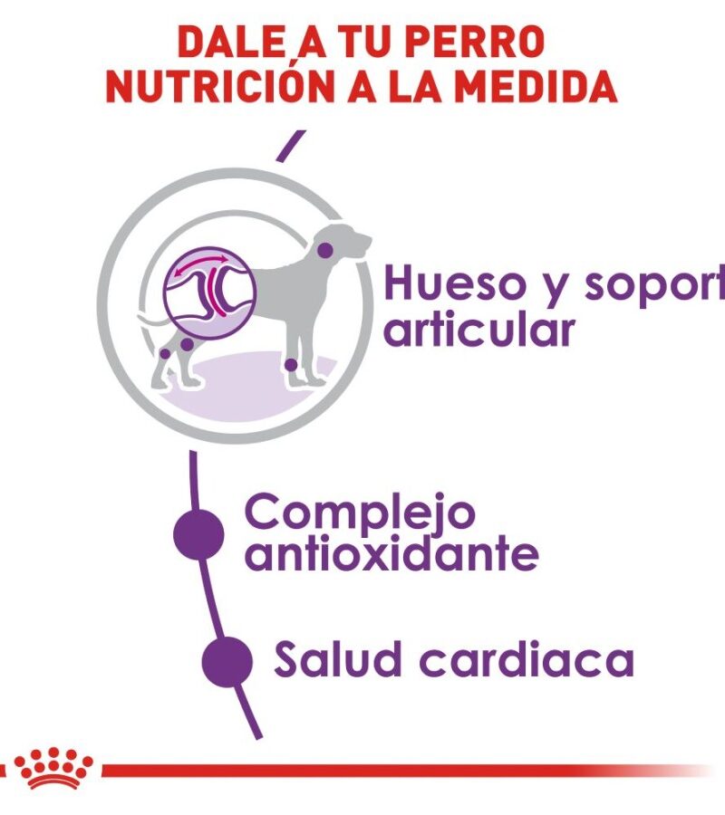 Royal Canin Adulto Raza Gigante 15.9 kg - Imagen 6