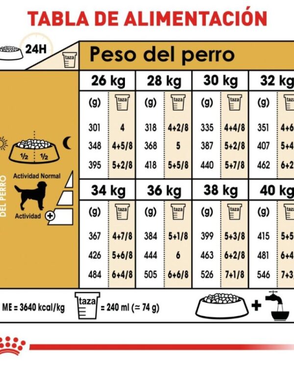 Royal Canin Adulto Raza Labrador Retriever, 13.6 kg - Imagen 3