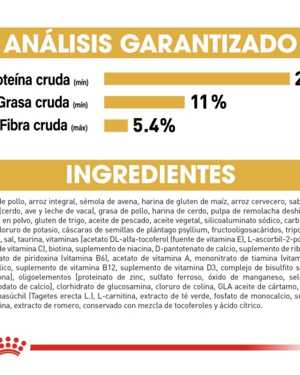 Royal Canin Adulto Raza Labrador Retriever, 13.6 kg - Imagen 5
