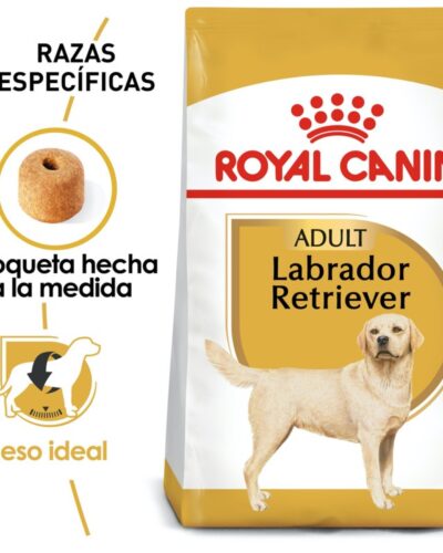 Royal Canin Adulto Raza Labrador Retriever, 13.6 kg