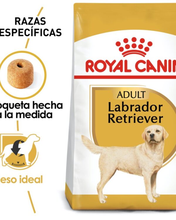 Royal Canin Adulto Raza Labrador Retriever, 13.6 kg