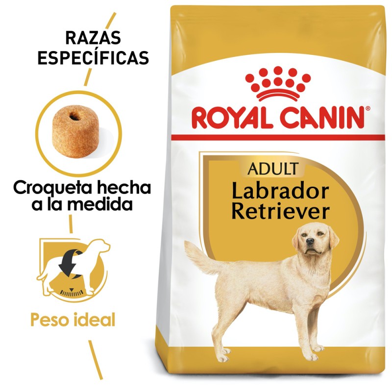 Royal Canin Adulto Raza Labrador Retriever, 13.6 kg