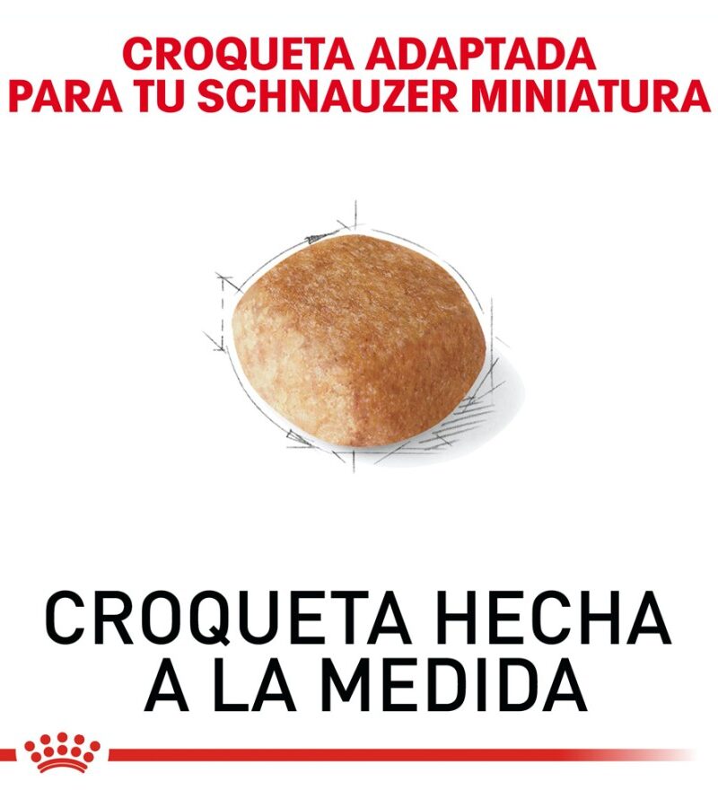 Royal Canin Adulto Raza Schnauzer Miniatura, 4.5 kg - Imagen 4