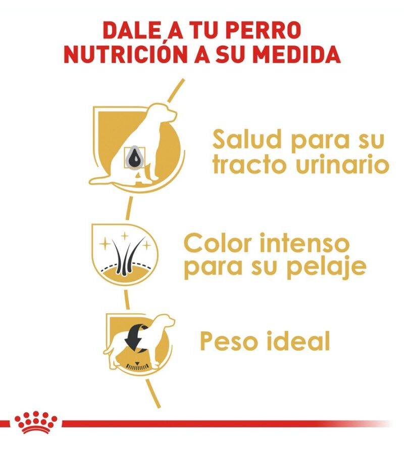Royal Canin Adulto Raza Schnauzer Miniatura, 4.5 kg - Imagen 5
