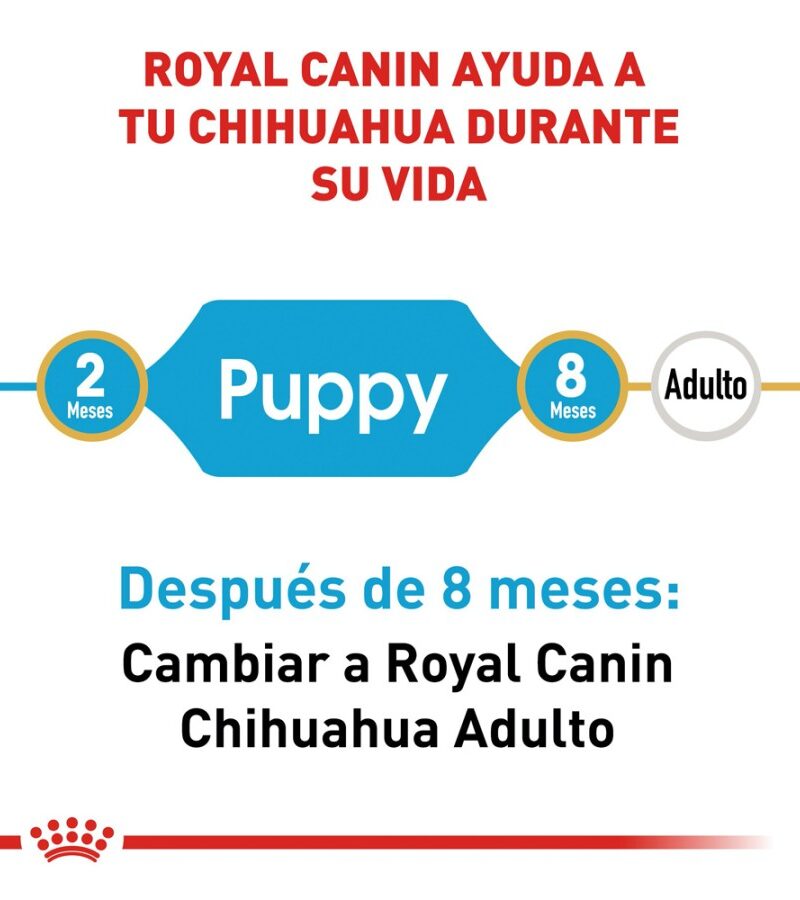 Royal Canin Cachorro Raza Chihuahua, 1.1 kg - Imagen 3