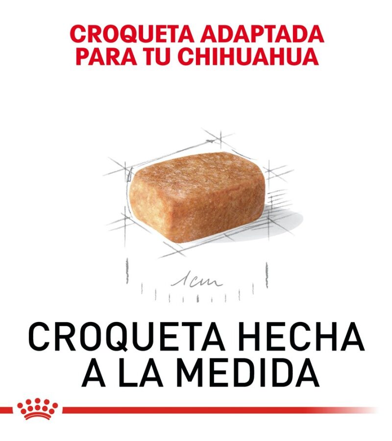Royal Canin Cachorro Raza Chihuahua, 1.1 kg - Imagen 4