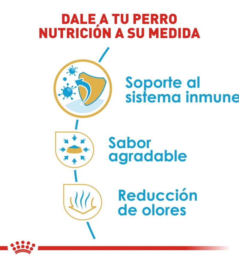 Royal Canin Cachorro Raza Chihuahua, 1.1 kg - Imagen 5