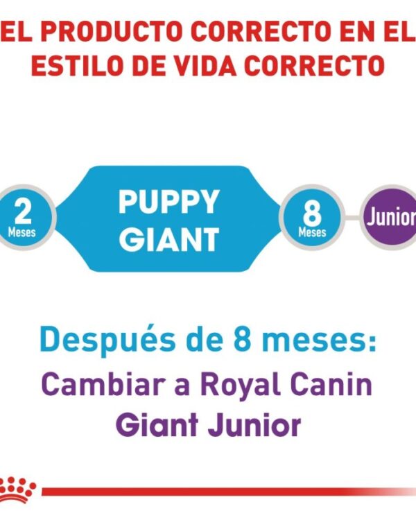 Royal Canin Cachorro Raza Gigante, 13.6 kg - Imagen 5