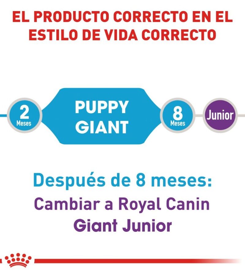 Royal Canin Cachorro Raza Gigante, 13.6 kg - Imagen 5