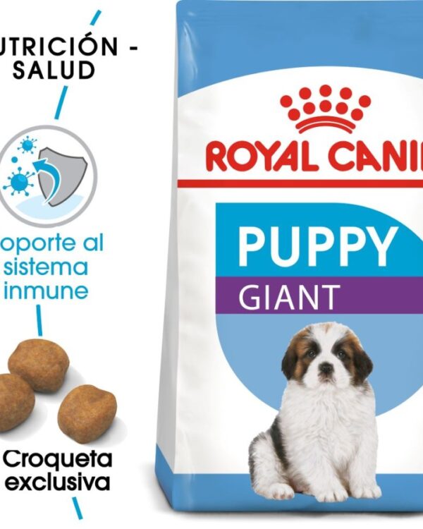 Royal Canin Cachorro Raza Gigante, 13.6 kg - Imagen 8