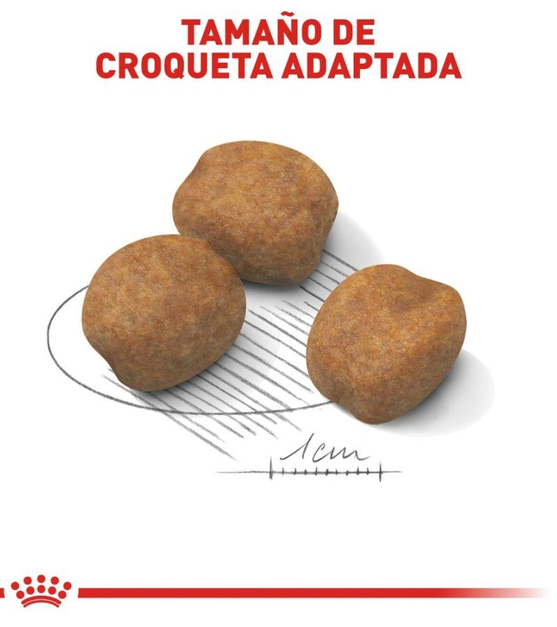 Royal Canin Cachorro Raza Gigante, 13.6 kg - Imagen 9