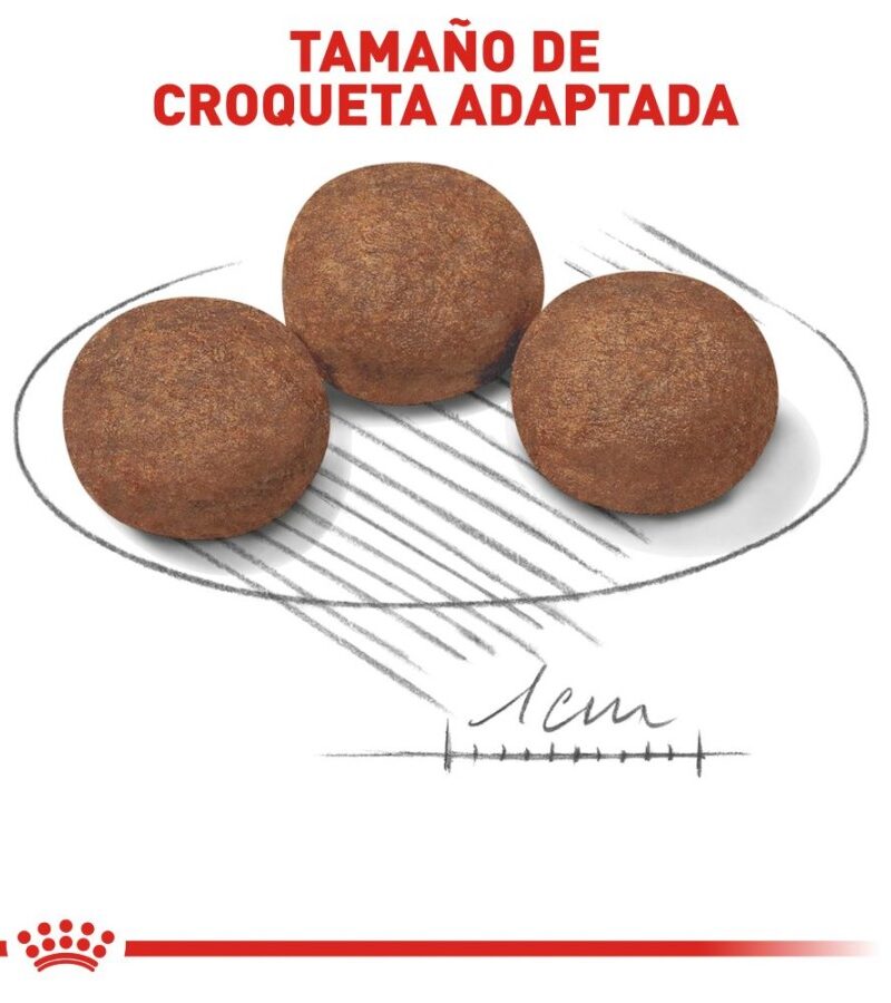 Royal Canin Cachorro Raza Mediana, 2.7 kg - Imagen 4