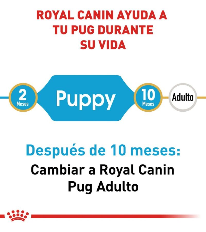 Royal Canin Cachorro Raza Pug, 1.1 kg - Imagen 3