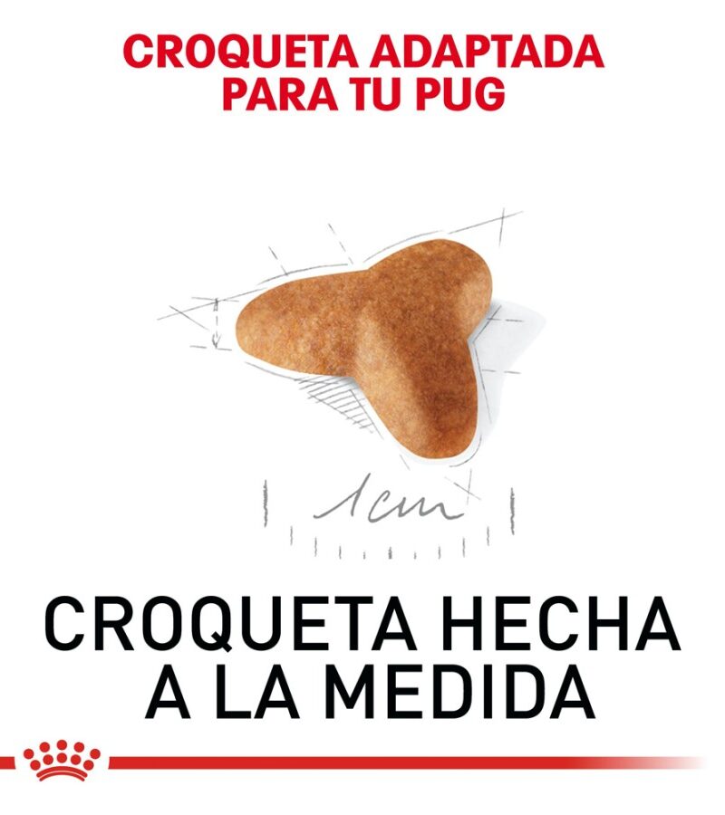 Royal Canin Cachorro Raza Pug, 1.1 kg - Imagen 5