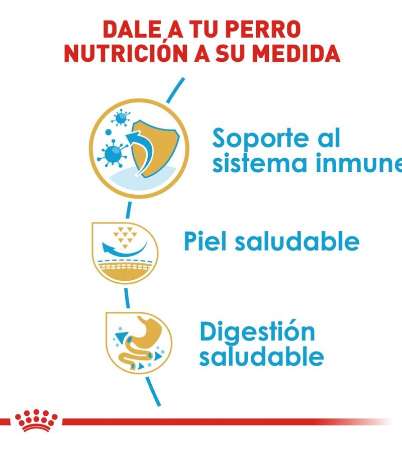 Royal Canin Cachorro Raza Pug, 1.1 kg - Imagen 6