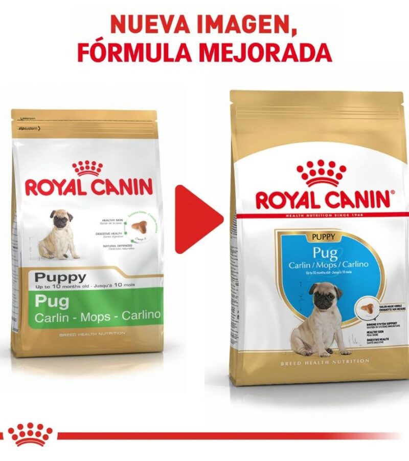 Royal Canin Cachorro Raza Pug, 1.1 kg - Imagen 8