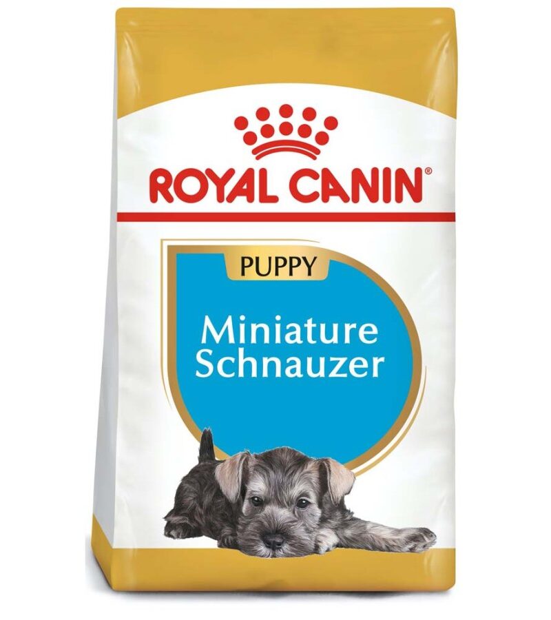 Royal Canin Cachorro Raza Schnauzer Miniatura, 1.1 kg - Imagen 3