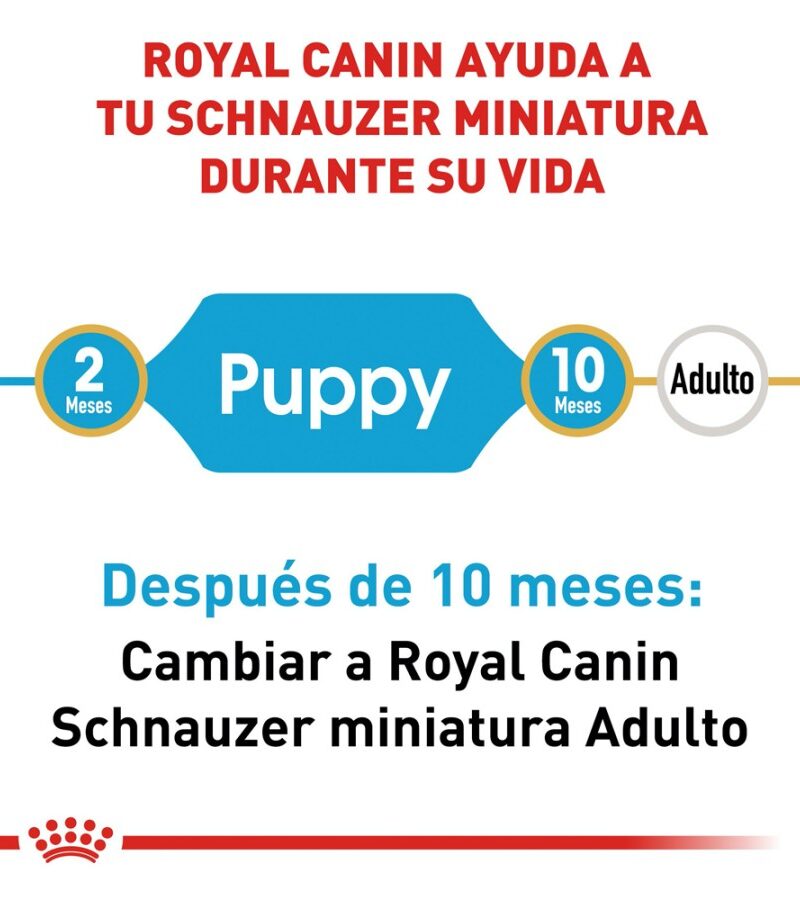 Royal Canin Cachorro Raza Schnauzer Miniatura, 1.1 kg - Imagen 5