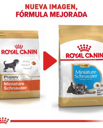 Royal Canin Cachorro Raza Schnauzer Miniatura, 1.1 kg