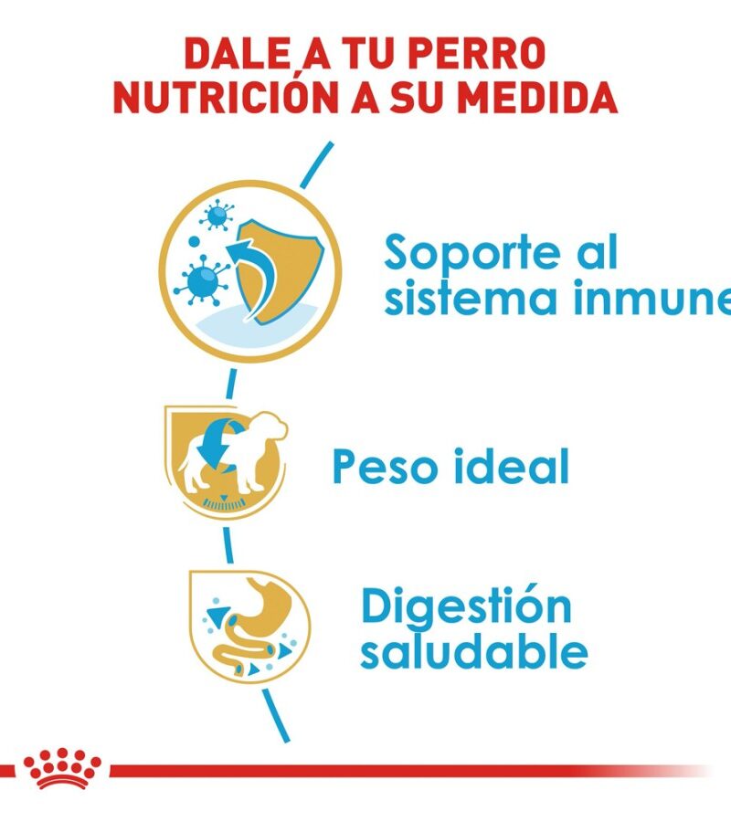 Royal Canin Cachorro Raza Schnauzer Miniatura, 1.1 kg - Imagen 7