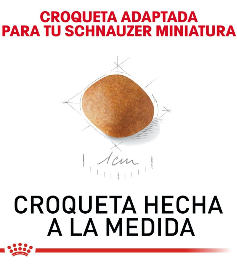 Royal Canin Cachorro Raza Schnauzer Miniatura, 1.1 kg - Imagen 8