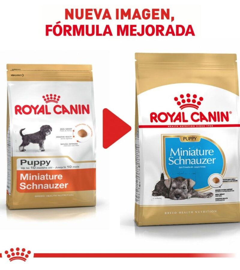 Royal Canin Cachorro Raza Schnauzer Miniatura, 1.1 kg