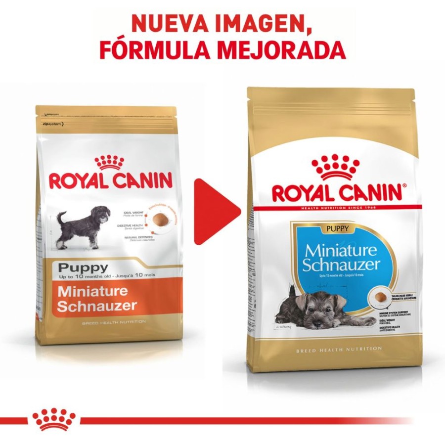 Royal Canin Cachorro Raza Schnauzer Miniatura, 1.1 kg