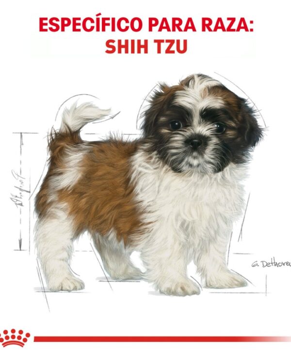 Royal Canin Cachorro Raza Shih Tzu, 1.1 kg - Imagen 2