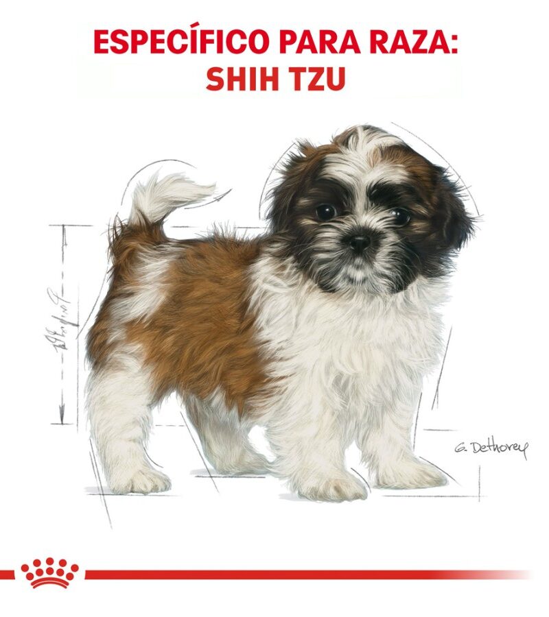 Royal Canin Cachorro Raza Shih Tzu, 1.1 kg - Imagen 2