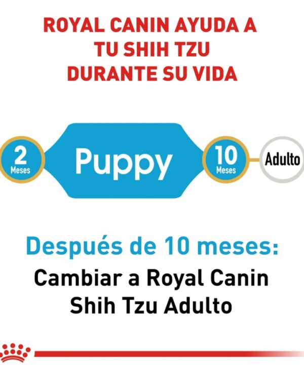 Royal Canin Cachorro Raza Shih Tzu, 1.1 kg - Imagen 6