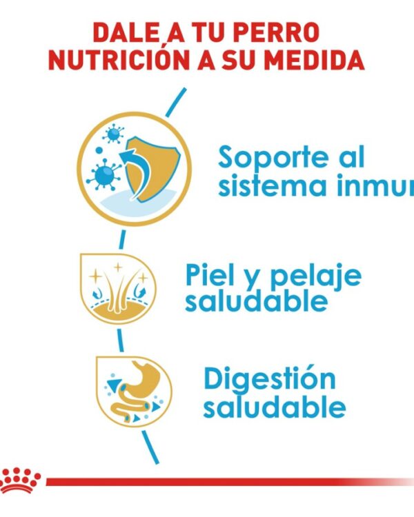 Royal Canin Cachorro Raza Shih Tzu, 1.1 kg - Imagen 8